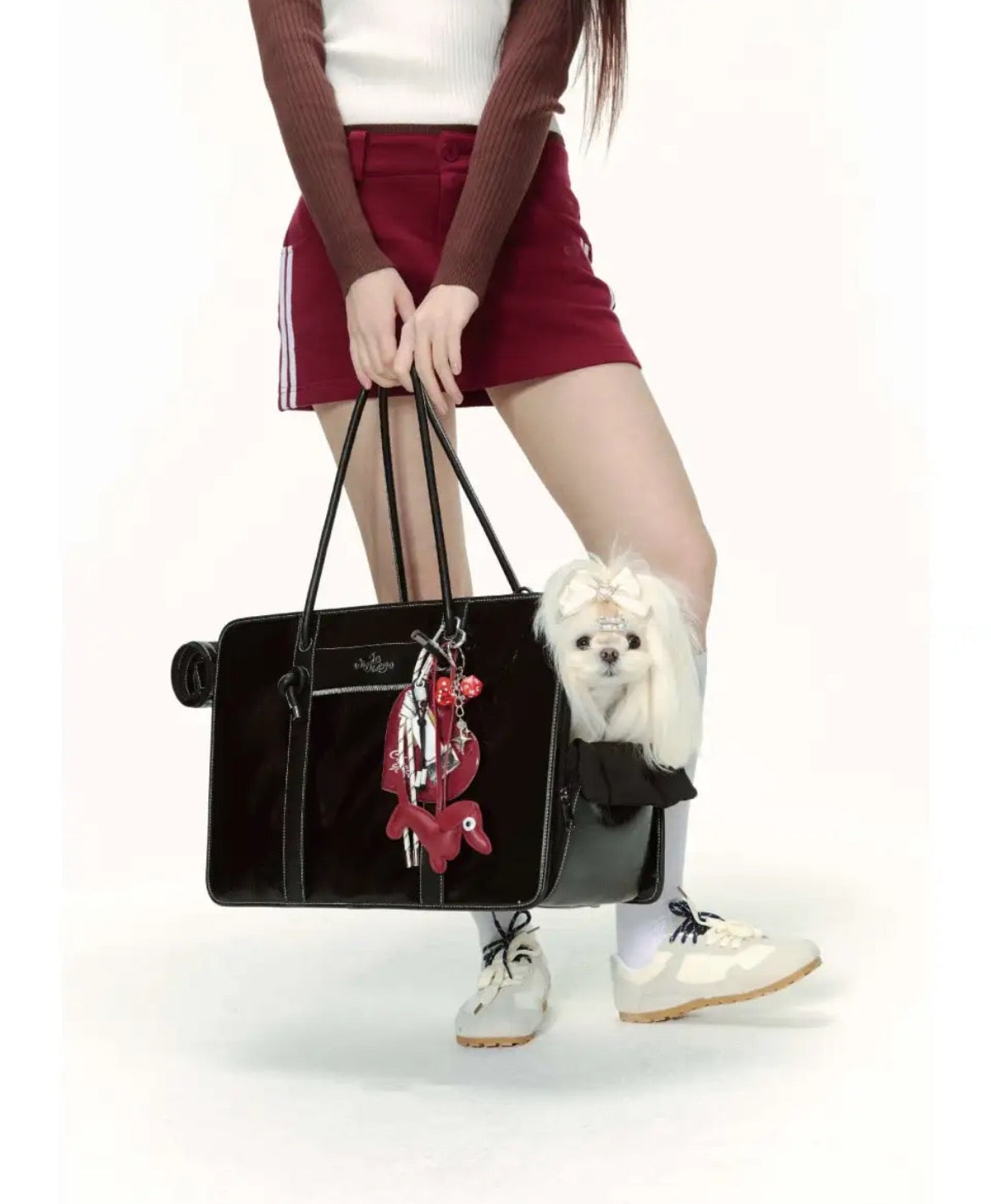 PawsCube Pet Business Tote Bag: Scratch-Resistant Polyester, Expandable Design for Small Dogs & Cats